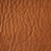 08-brown