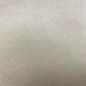 Polar - 01