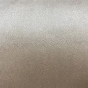 Polar - 21